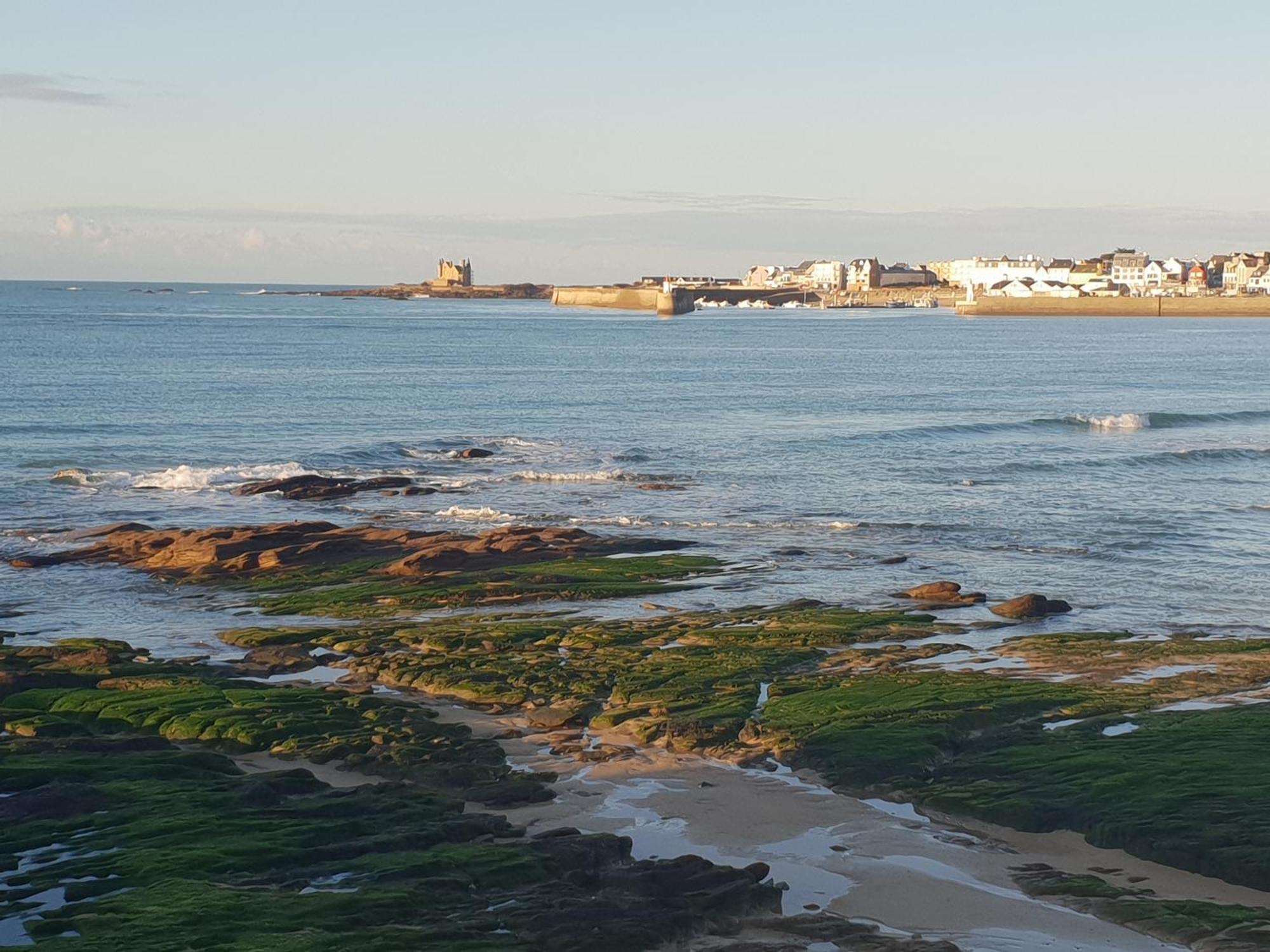 Appartement Cocon A Quiberon Dans Residence Calme, Plages Et Centre Ville A Pied Ou A Velo Pour 2 A 4 Personnes Zewnętrze zdjęcie