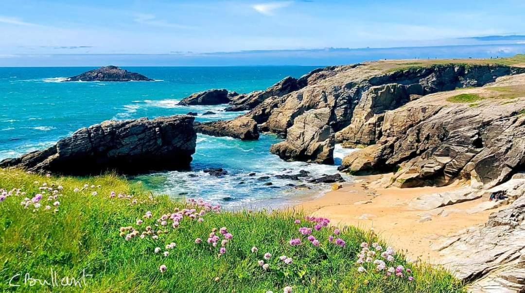 Appartement Cocon A Quiberon Dans Residence Calme, Plages Et Centre Ville A Pied Ou A Velo Pour 2 A 4 Personnes Zewnętrze zdjęcie