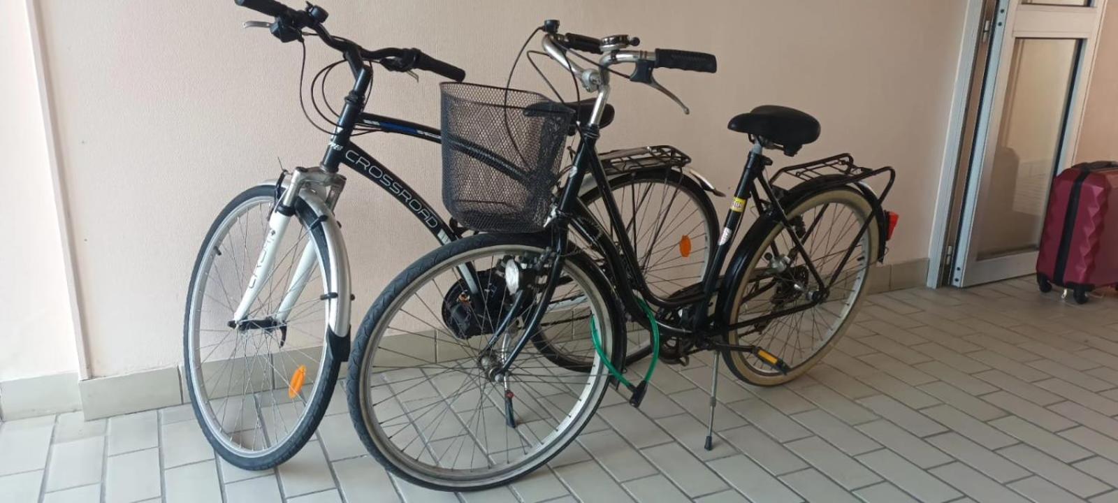 Appartement Cocon A Quiberon Dans Residence Calme, Plages Et Centre Ville A Pied Ou A Velo Pour 2 A 4 Personnes Zewnętrze zdjęcie